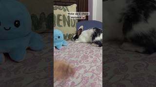 No one can stop her‍♀ #lifeoftinkywinky #bunnies #rabbit #tinkywinky #shorts