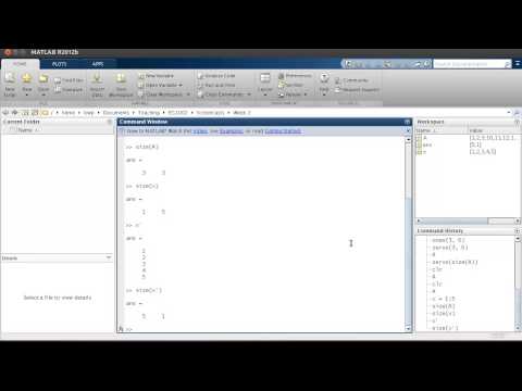 Week 3 - Part 3: Measuring Arrays and Matrices