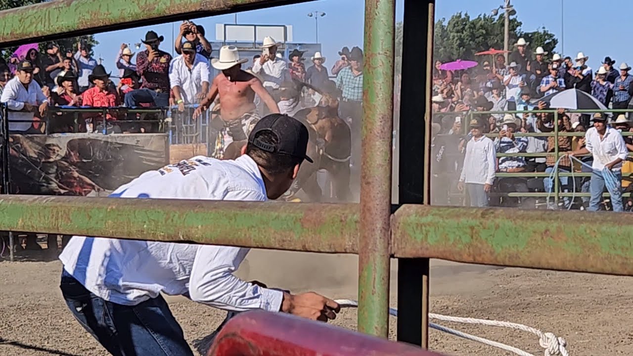 Rancho San Miguel y 2 cañadas King City Ca 7/2/2023 Jaripeo Chompas