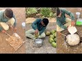 Khadim Paak Recipe || Gujrati Recipe || Coconut Recipe || Indian Sweets Recipe