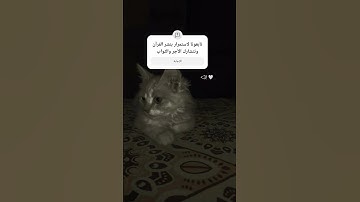 #سورة_الكهف #السديس #اسلام_صبحي #اكسبلور #كامري #ماهر_المعيقلي #رمضانمبارك #رمضان #لايك #automobile