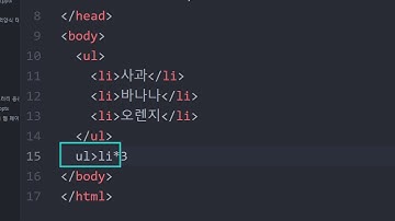 초보자를 위한 HTML Tutorial 목록 태그 이해(7)(ul, li, ol)