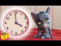 Hickory Dickory Dock Lied Lernmusik von Looloo Kids in Deutscher Sprache