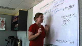 Integumentary Skin Physiology Basics for the Massage Therapst 1
