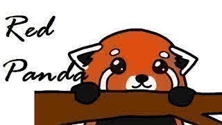 Draw My Life   The Red Panda