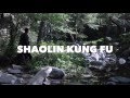 SHAOLIN KUNG FU Master Shi Yanyi