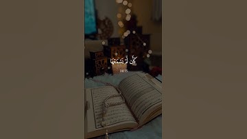 / ويل لكل افاك اثيم / القارئ / ياسر الدوسري/#تلاوات_رائعة 😌🎧🌿🤍
