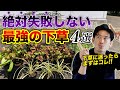 【下草に迷ったら】初めての下草はここから始めよう！