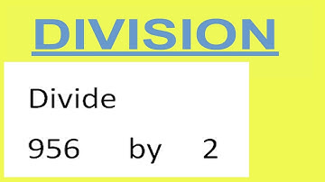 Divide     956      by     2