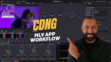 Canon EOS M — Cinema DNG MLV Workflow