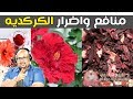 منافع وأضرار الكركديه الصحية مع الدكتور عماد ميزاب Imad Mizab منافع وأضرار الكركديه الصحية مع الدكتور عماد ميزاب Imad Mizab