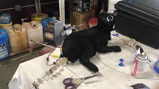 Animatronic Cat Tail