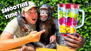 MAKING SMOOTHIES with BABY CHIMPANZEE ! WILL HE LIKE IT ?!