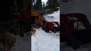 Live From Timberline - March 2024