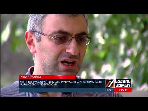 200 000 ლარამდე სესხების დოლარში აღება ბიზნესსაც ეკრძალება  - შეფასებები