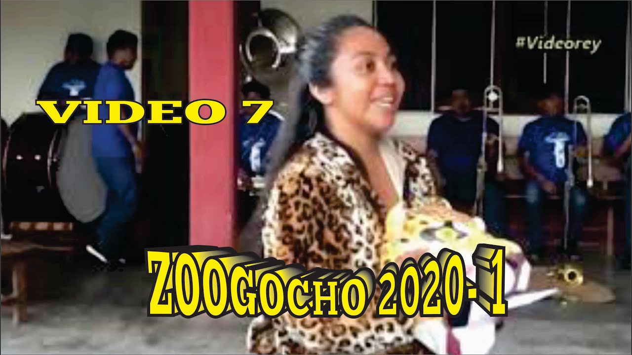 ZOOGOCHO 2020 Menos 1 -  Video 7. Despedida de bandas y aspectos de la fiesta