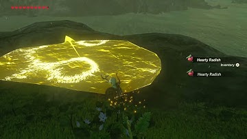[DAY 330] of finding one korok seed everyday until Botw2 comes out