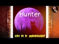 Hunter  cat in d moonlight  chutney music 