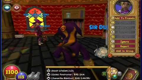 Wizard 101 party