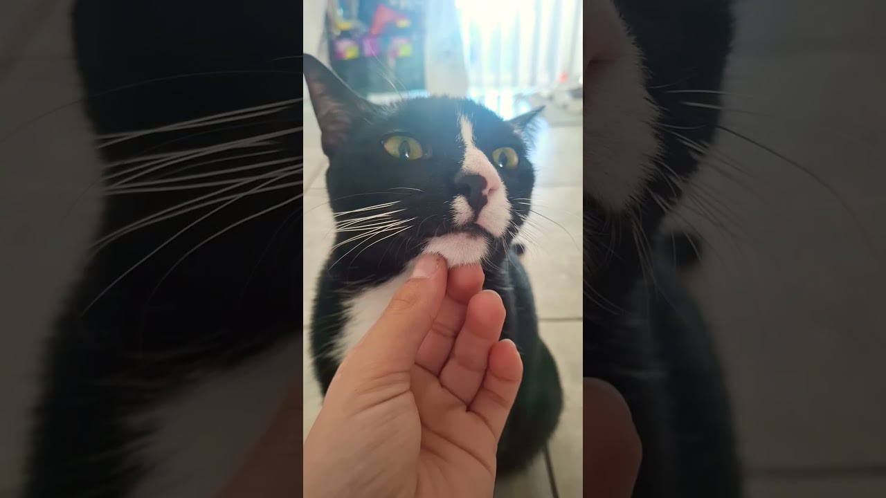 nothing really happened to me