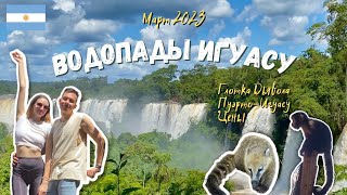 Путешествия по Аргентине: водопады Игуасу | Стоимость, Глотка Дьявола, Пуэрто-Игуасу | Март 2023