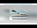 Spring Oxford Textile Long Sleeved Shirt Men&#39;s Cotton Casual Stripe Grey White Shirt British Cl