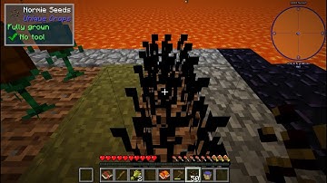 Minecraft : Volcano Block #2 Der Cobblonia Sead
