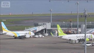 ANA prévoit de faire de la société holding d'Air Do et Solaseed Air une filiale à part entière