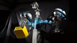 Gaze Control of a Robot Head