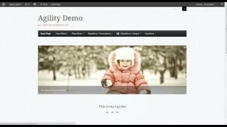 Ubermenu 2 Tutorial Part 5 Megamenu Images