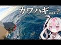 【初心者釣り女子】初めて乗合船でカワハギ釣りしたらドデカ〇〇が釣れた【桃川ニジマス/うおむすめ】
