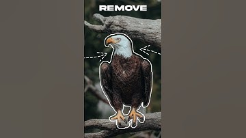 Unlock the Power of Photoshop AI Generative Fill 2024! 🤯