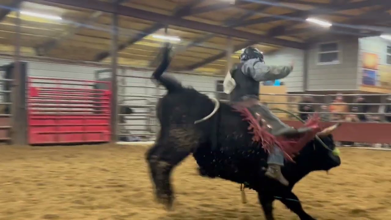 bull riding T C CHECK BUCKING BULLS
