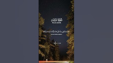 فَحَمَلَتْهُ فَانتَبَذَتْ بِهِ مَكَانًا قَصِيًّا #سورة_مريم #سعود_الشريم #quran
