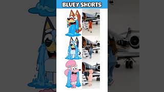 🐾 BLUEY friends and family : Rusty, Bluey & Coco new private jets ?! #bluey