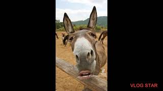 The Best of CarterAndersonComedy for 1 hour
