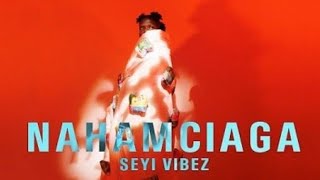 Seyi vibez-Shazam (lyrics) Seyi Vibez Shazam Official Video