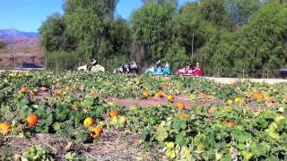 Race Car Trackless Train at Live Oak Canyon Pumpkin Patch ~ 2011
