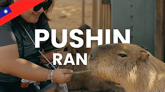 πΉπΌ Taiwan 2025 | Road Trip to Pushin Ranch in Taoyuan City