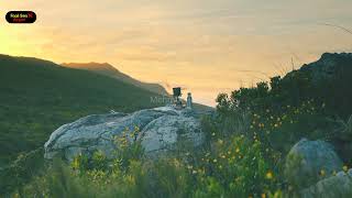 Doğa Ses Efekti - Faal Ses Arşivi