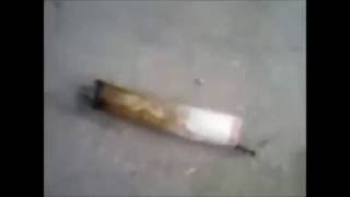 Karıncalar Bile Ot Içiyor Bro :D