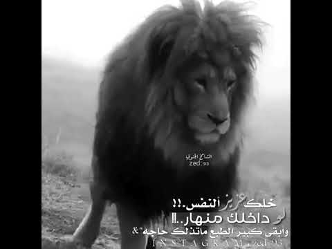 خلك عزيز النفس لو داخلك منهار وبقى كبير الطبع ماتذلك الحاجةةة