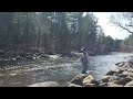 Fly fishing the colorado front range