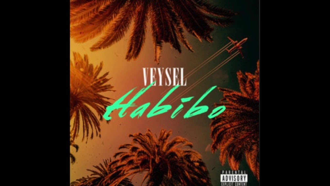 Veysel   Habibo    LYRICS