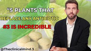5 PLANTS that Replace ANY ANTIBIOTIC (#3 is Incredible)