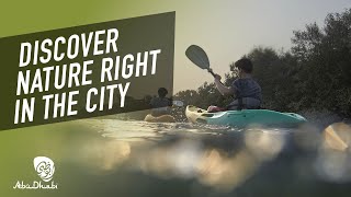 Abu Dhabi Mangrove National Park | CNN travel | Experience Abu Dhabi