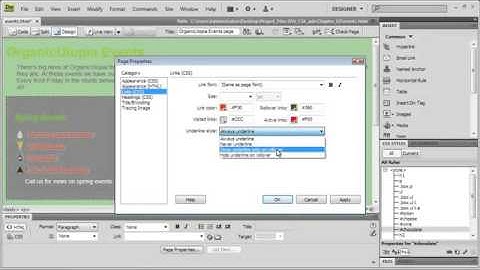 Adope Dreamweaver Tutorial CS4 Styling Hyperlinks
