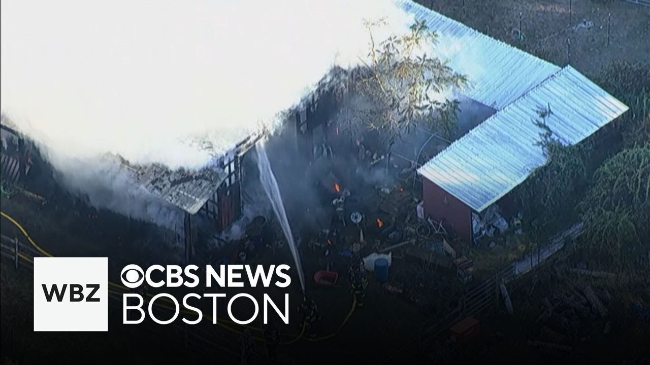 Horse euthanized after fire destroys barn and garage in Lancaster