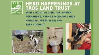 Herd Happenings at Taos Land Trust