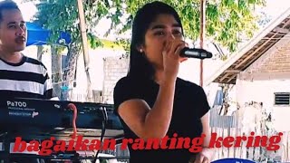 Bagaikan ranting yang kering cover inang